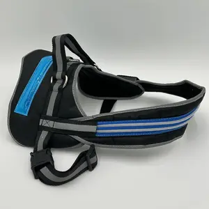 Light Up Flashing LED Harness (Easy to Put On) - Keep Your Pet Safe and Stylish