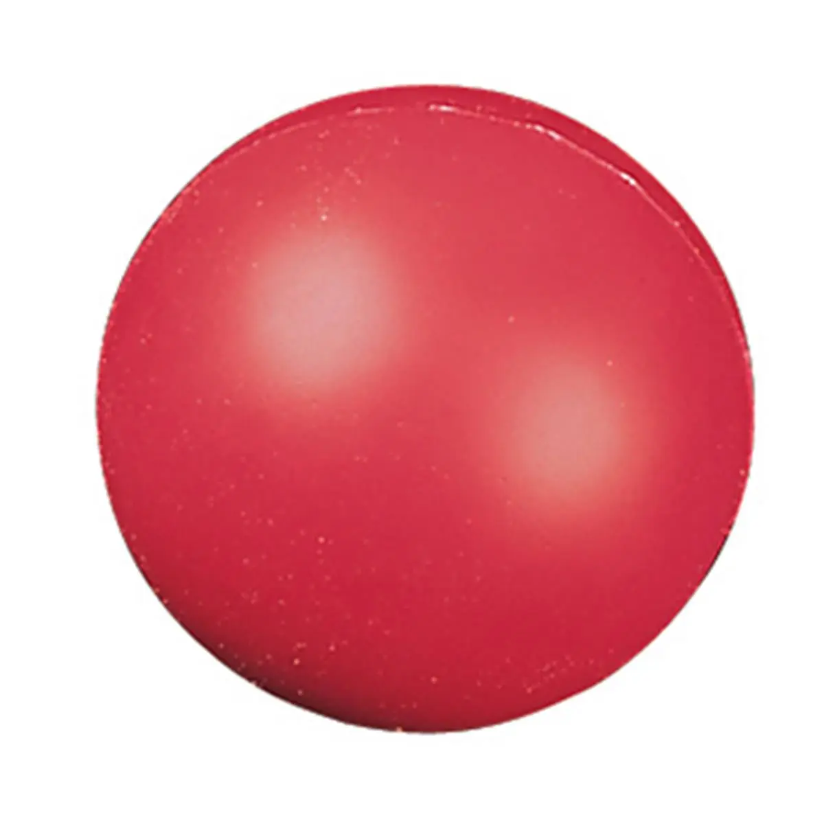 CHAMPION Coated High-Density Foam Ball, 4in Diameter - High-Density Coated Sports & Fitness Ball, Safe for Indoor or Outdoor Use, Suitable for Indoors and Outdoors Activities