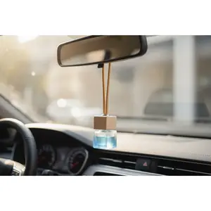 Aroma-on the GO Luxury Hanging Car Air Diffuser | Long Lasting Natural Car Fragrance | Green Beauty