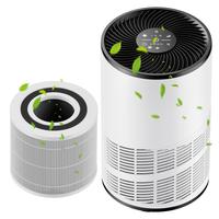 Air Purifier & 1 Extra Filter