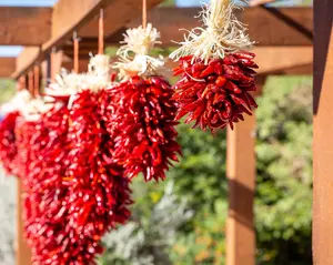 Chile Pequin Ristras
