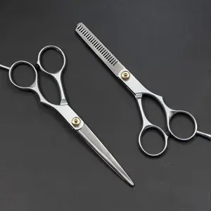 Stainless Steel Hair Cutting Scissors, Flat Scissors & Teeth Scissors, Professional Hair Styling Tools for Salon & Barber Shop, Heatless