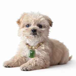 Summer Mosquito Repellent Dog Necklace & Matching Owner Bracelet Set | Natural Camphor Wood Beaded Collar with Green Pendant | Family Style Pet & Human Matching Jewelry for Small Dogs