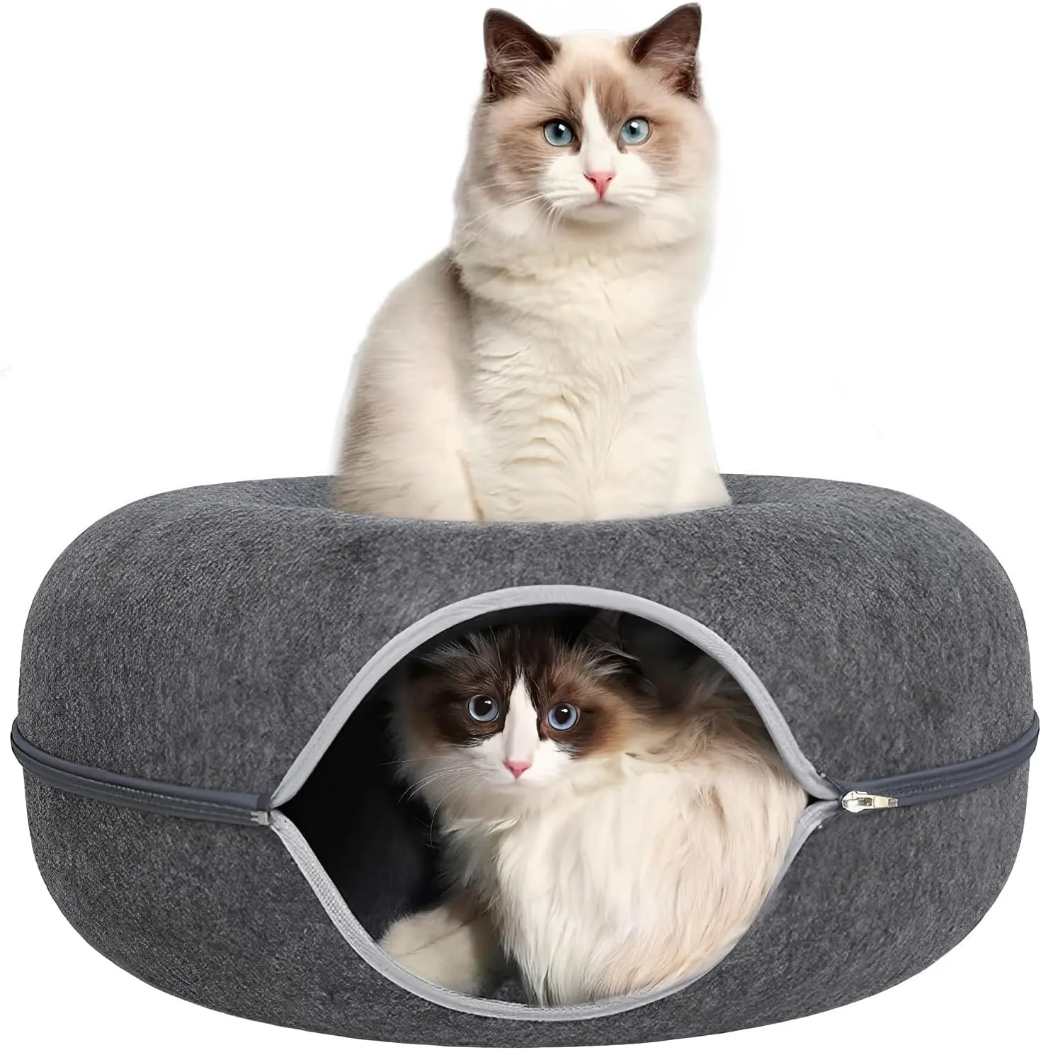 24inch-Tunnel Bed for Indoor,cattasaurus Peekaboo  cave for Multiple,Detachable Felt Felt Washable Interior for Indoor Cats,Donut Tunnel (Dark Grey)