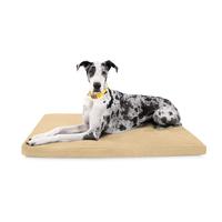 Tan - Seasonal Color