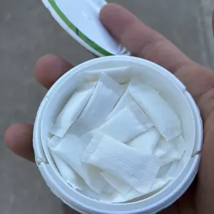 NZE Caffeine Free Nootropic Pouches  - Nootropic Pouches with Alpha GPC, L-Tyrosine & L-Theanine - No Sugar or Artificial Sweeteners - 15 Nicotine Free Pouches Per Can