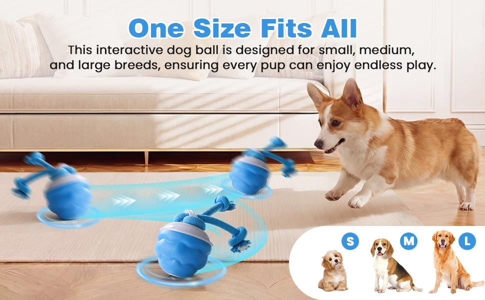 Interactive Dog Toys with Motion Activated, Squeaky Dog Toy Active Rolling Ball, Ball for Daily Training,Used for small dogs and cats , pet accessories, cute pet toys(2.95*2.95*4.33inch)