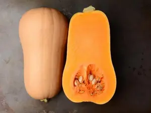 Butternut Squash Pumpkin Winter Sweet Vegetable Seeds 3 Pack x 90 Seeds Easy to Grow Perennial Container Balcony
