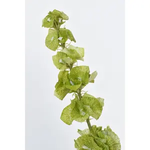 29" Faux Bells of Ireland