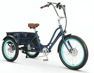 Relaxed Body 750 watt Electric Tricycle