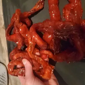 Halloween fake guts prop costume accessory. Halloween Halloween