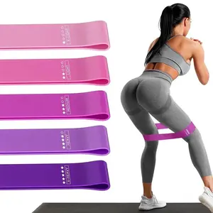 SleekHush 5-Level Durable Elastic Workout Bands Set with Portable Bag, Calisthenics Tools for Resistance Band Workouts & Physical Therapy