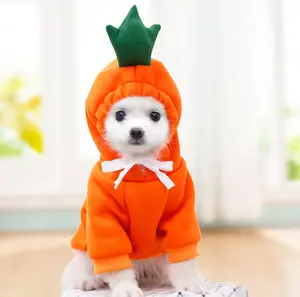 Pet Costume