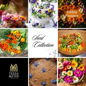 Edible Flower Seed Collection 🌸 | Grow Vibrant & Tasty Blooms for Your Garden