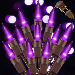 LAMPHOME 2-Pack Halloween Purple String Lights - 100 Mini Fairy Lights Each, 20Ft Brown Wire for Home, Christmas Tree, Bedroom, Patio, Wedding & Halloween Holiday Décor