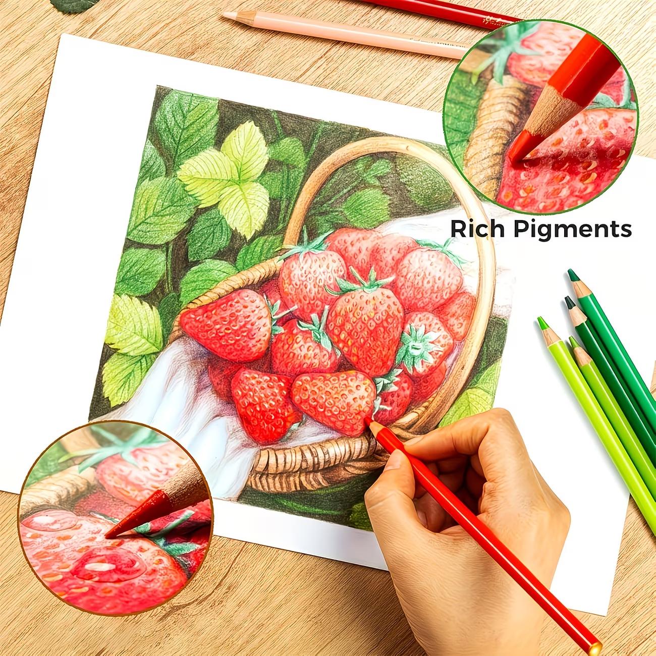 120pcs Professional Colored Pencil Shockproof Kit with Detachable Shoulder Strap,Extra-Large Capacity Portable Canvas Pencil Case Set,For Professional artistic use,Artists Drawing Coloring Sketching