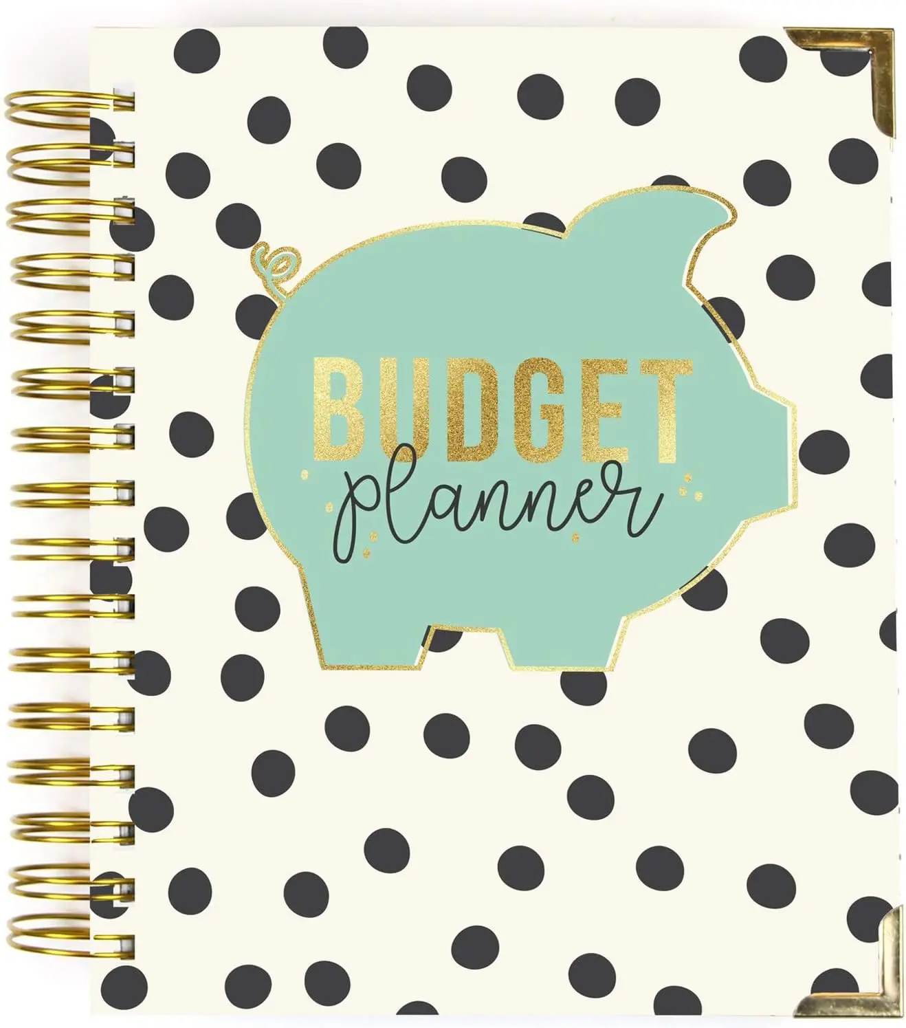 ,  Diem Budget Planner Spiral Bound Notebook with 12 Month Calendar, Dividers, Inserts, and Sticker Sheets  Features Savings Goals & , Financial Overview, and  Information