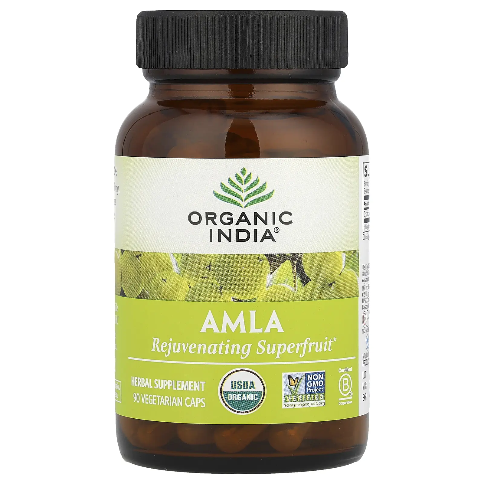Organic India Amla, 90 Vegetarian Caps (500 mg per Capsule)