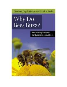 USED-Why Do Bees Buzz?: Fascinating Answers to Questions about Bees by Evans, Elizabeth (Paperback)