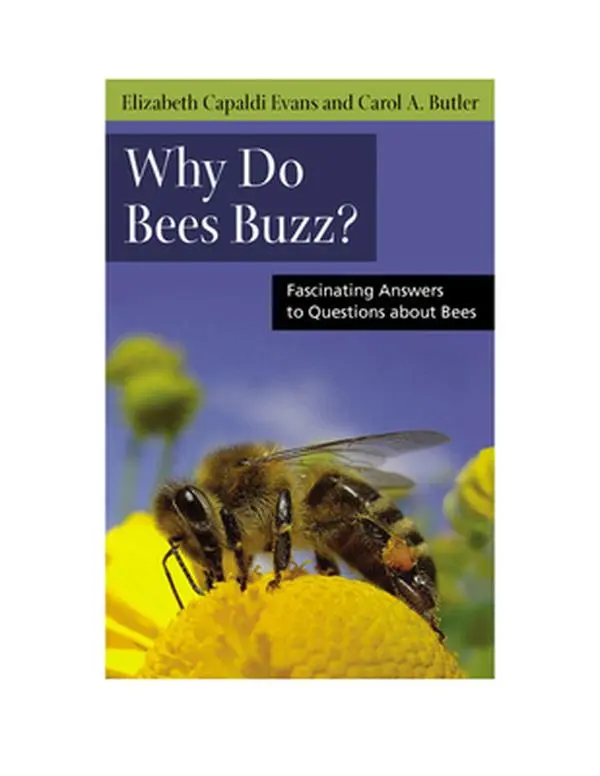 USED-Why Do Bees Buzz?: Fascinating Answers to Questions about Bees by Evans, Elizabeth (Paperback)