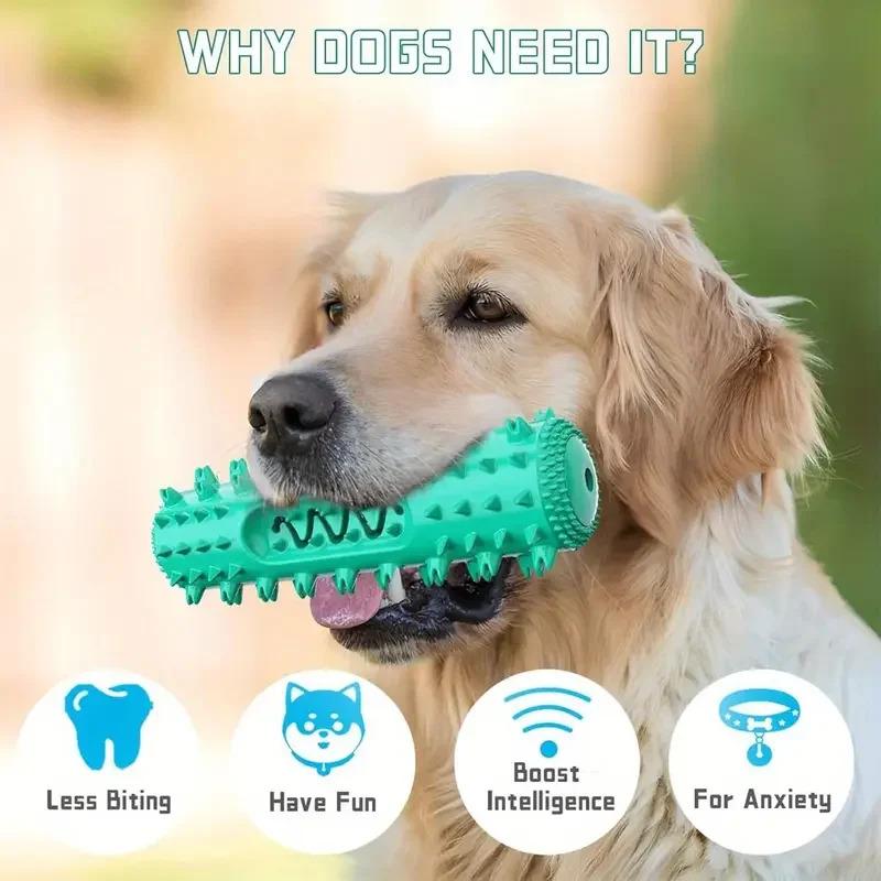 3-in-1 Set Dental Chew Stick Cooling Toothbrush Toy Freezable Ice Chew Toy For Gum Massage Small Medium Breeds Outdoor Bungee 1-Pack