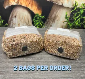 2 Pack Premium 5-Grain Spawn Bags for  Grain & Dung Loving Mushrooms 100% Sterile ready to inoculate