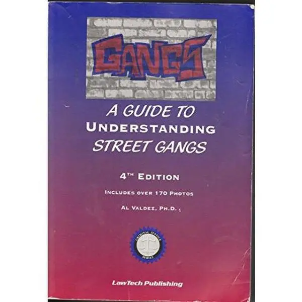 USED-Gangs: A Guide to Understanding Street Gangs by Alora J. Valdez (Paperback)