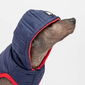 Dog Jacket Blue - Noah
