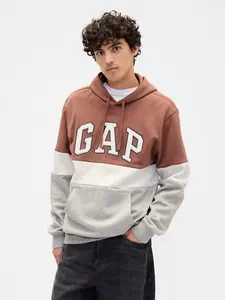 Men Relaxed Gap Logo Colorblock Hoodie - Myristica