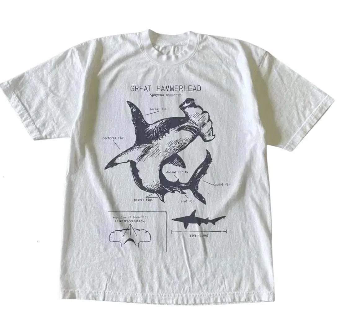 Hammerhead Shark Scientific Illustration Tee | Vintage Ocean Graphic Shirt
