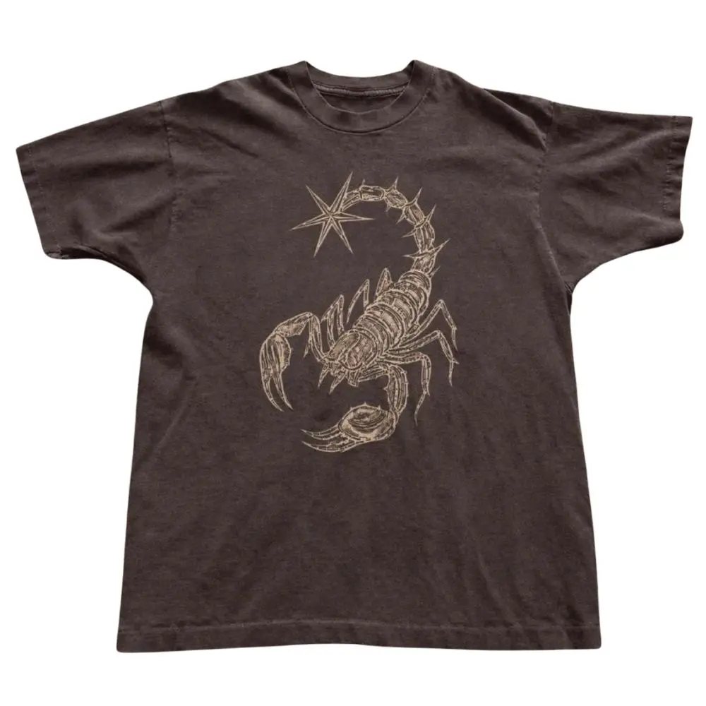 The Vintage Scorpion Graphic T-Shirt, Zodiac Scorpio Tee, Minimal Desert Animal Shirt, Y2K Shirt, Crew Neck Shirt, Gift For Men, Gifrt For Woman