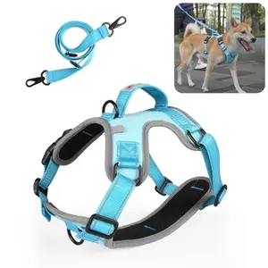 FunAdd Traction Rope Reflective Breathable Nylon Pet Vest Dog Harness, Size: M