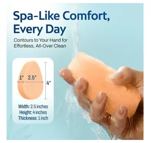 Gentle Exfoliating Facial Sponges Gift Set, Super Soft, 10 Count