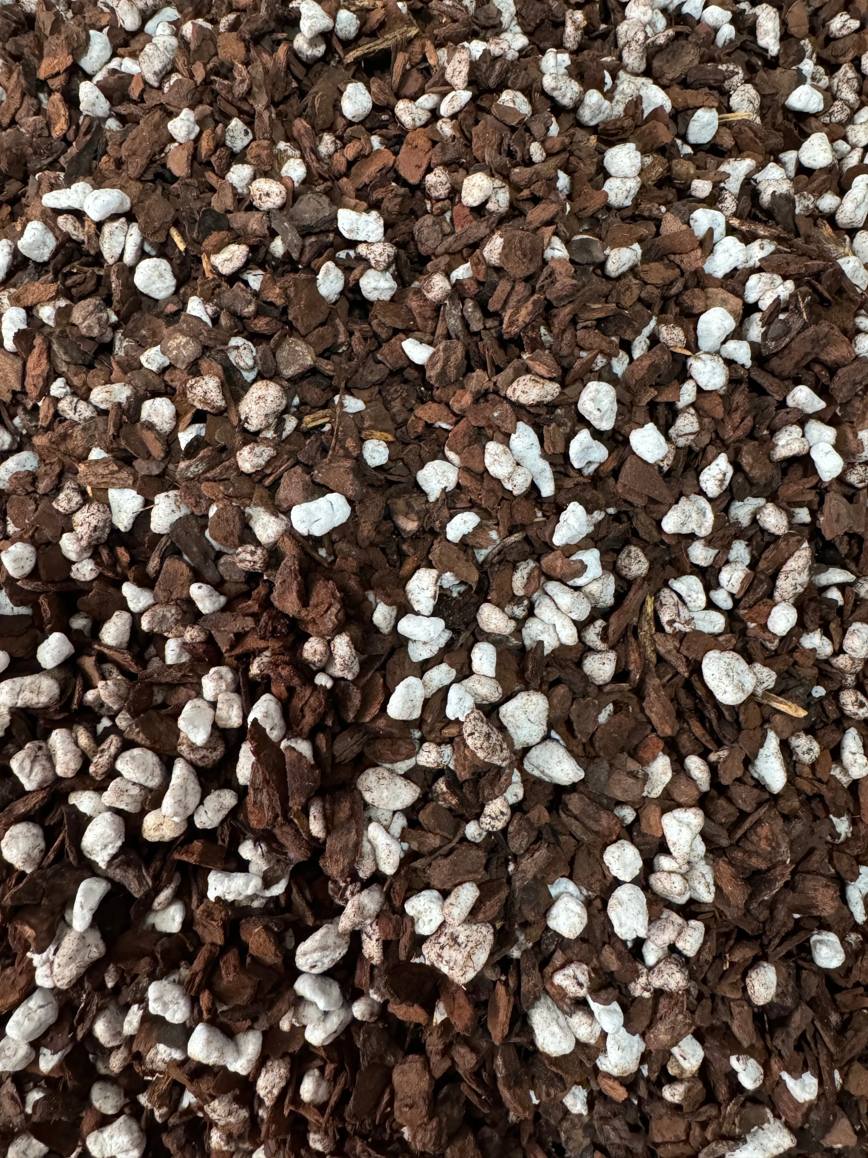 Orchid & Aroid Mix #1 - CUSTOMIZABLE - (Orchiata & Perlite) - Select Your Options