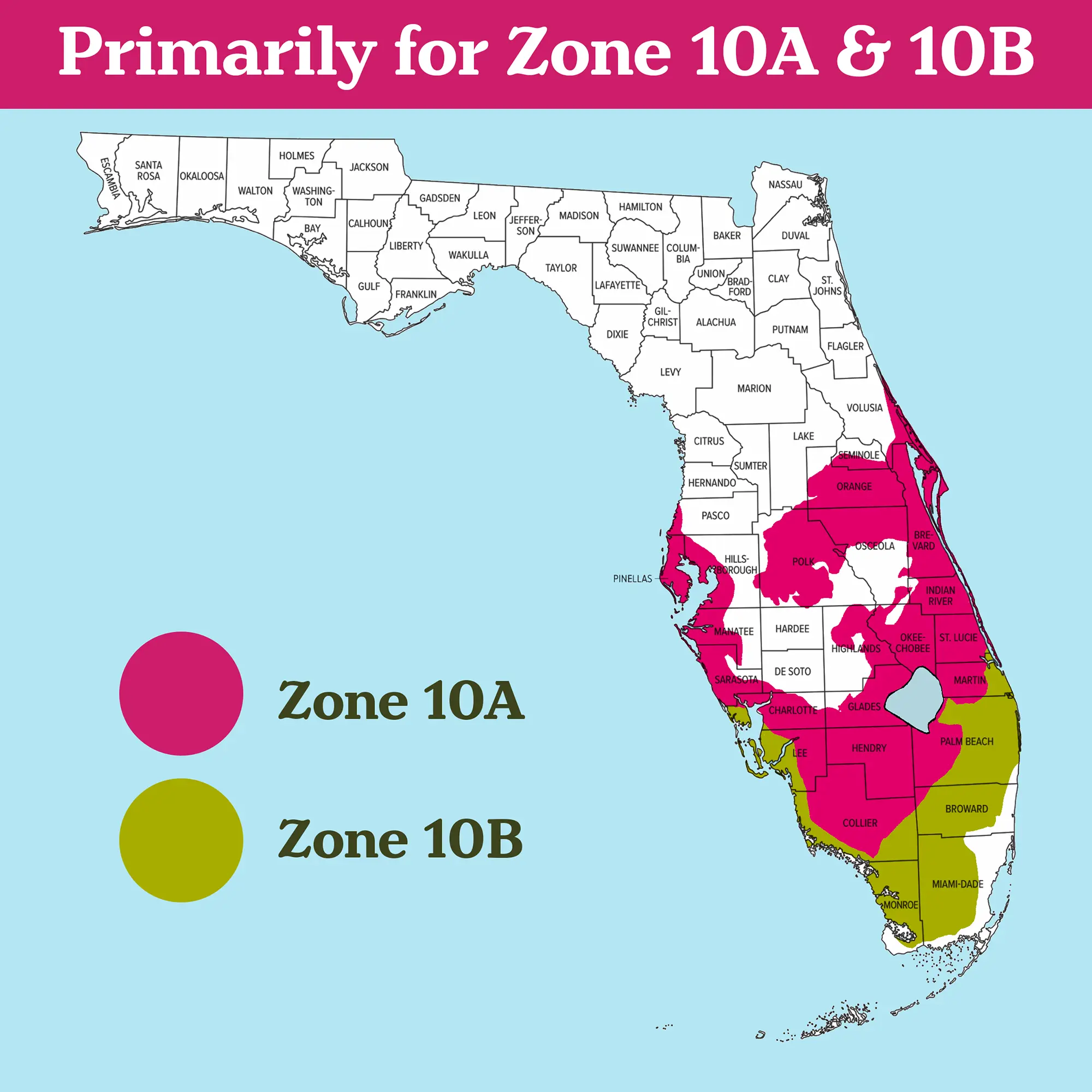The Florida 50 Essential Plants Card Deck for Landscape Design in Zone 10A  & 10B - TikTok Shop
