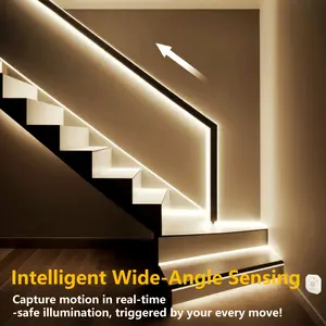 LED Motion Sensor Light Strip, Neon Flexible Strip, Waterfall, Meteor Shower, Running Lamp, USB Interface, Indoor/outdoor Use, Led Ambient Lighting