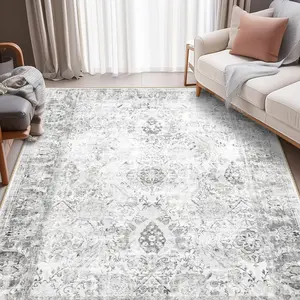 RELEANY Washable Rugs for Living Room, Boho Area Rug Carpet Non-Shedding High Traffic Machine Washable Rugs for Bedroom Kitchen Entrance Indoor Outdoorfun