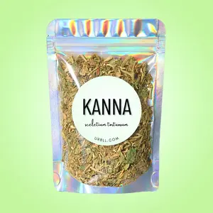 Kanna • Sceletium tortuosum • All-Natural