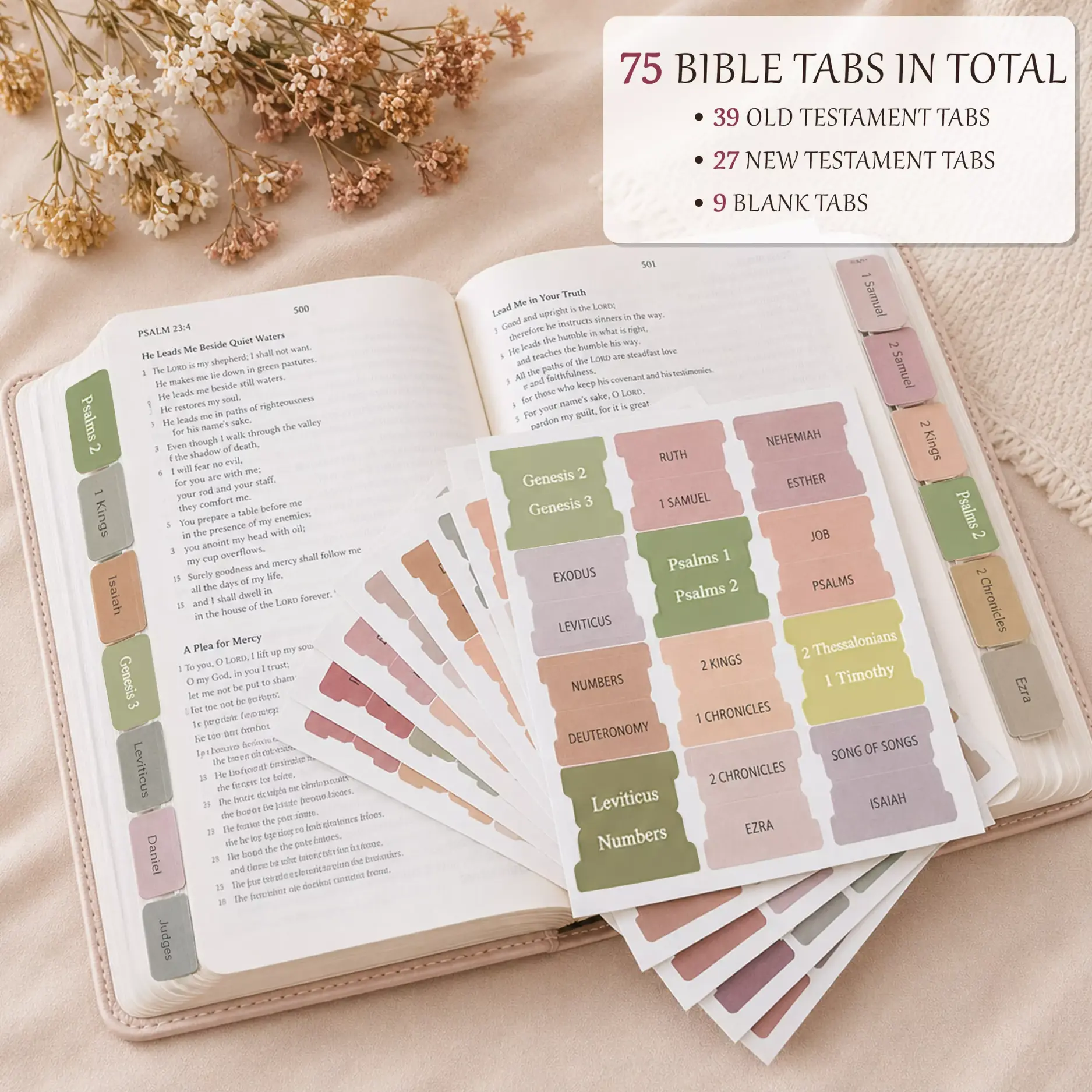 75-Piece Bible Tabs for Women & Men, Colorful Bible Book Index Tabs for Study Bible
