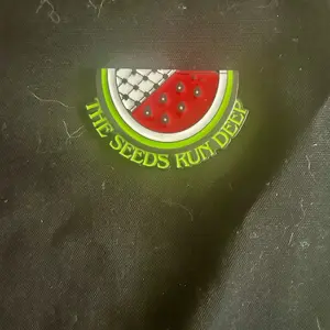 Palestine Enamel watermelon Pin