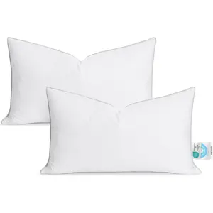 12x20 inch Pillow Insert Set of 2, Down and  Throw Pillow Inserts  Soft  with Piping Edge,  Down-Proof Square Pillow Insert for Living Room Sofa Couch Bed, White