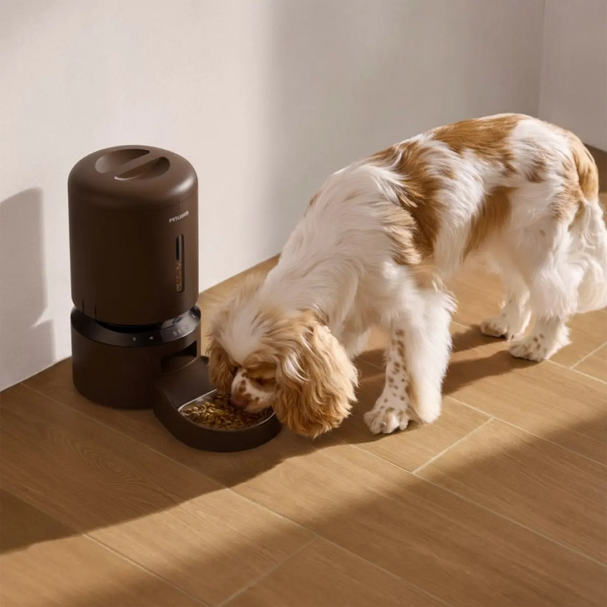 Petlibro Automatic Camera Feeder with 12-pack Desiccant Bags Bundle