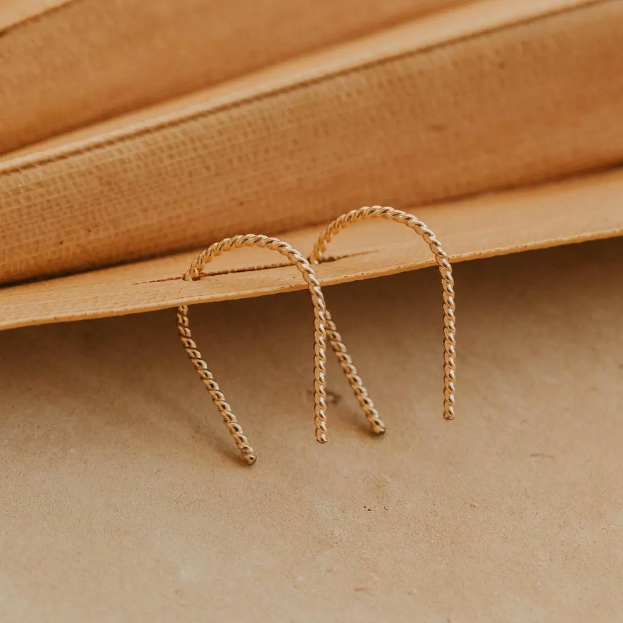 Twisted Tiny Horseshoe Earrings