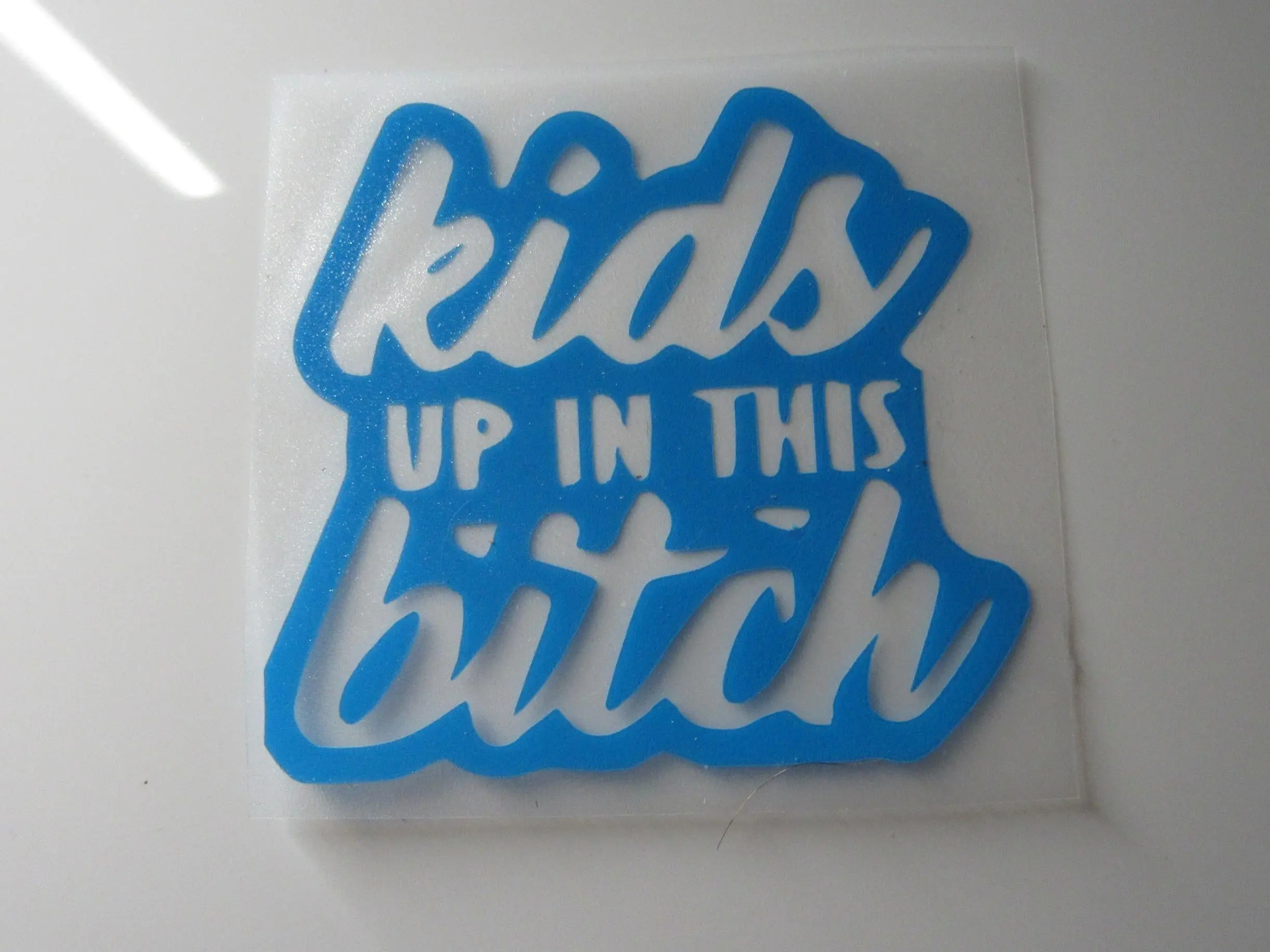 Kids Up In This Bitch Decal