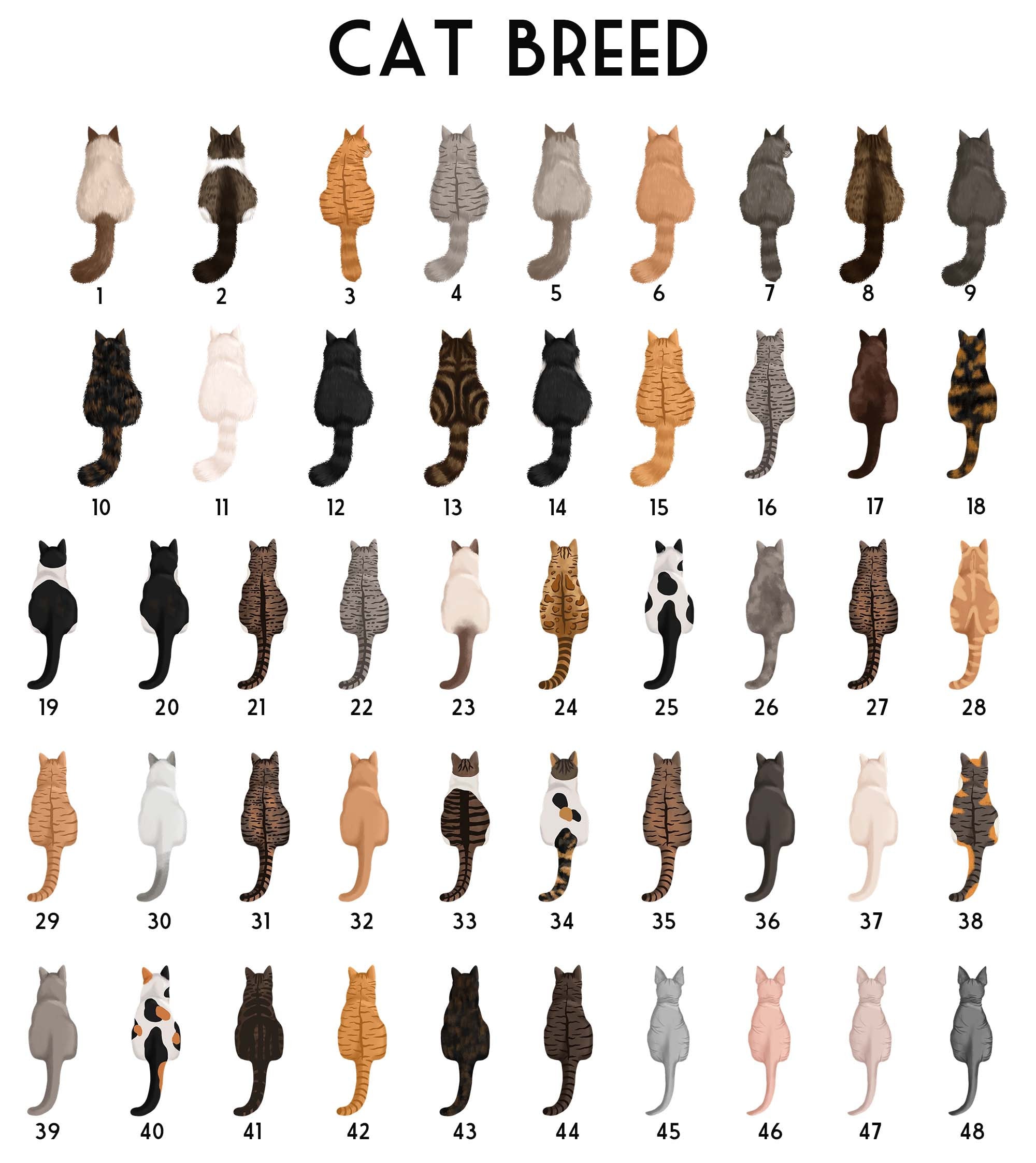 Personalized Loss Of Cats Suncatcher, Cat Memorial Suncatcher, Loss of Cats Sympathy Gift, Cat Loss Gift, Cat Remembrance Gift Personalized Loss Of Cats Suncatcher, Cat Memorial Suncatcher, Loss of Cats Sympathy Gift, Cat Loss Gift, Cat Remembrance Gift