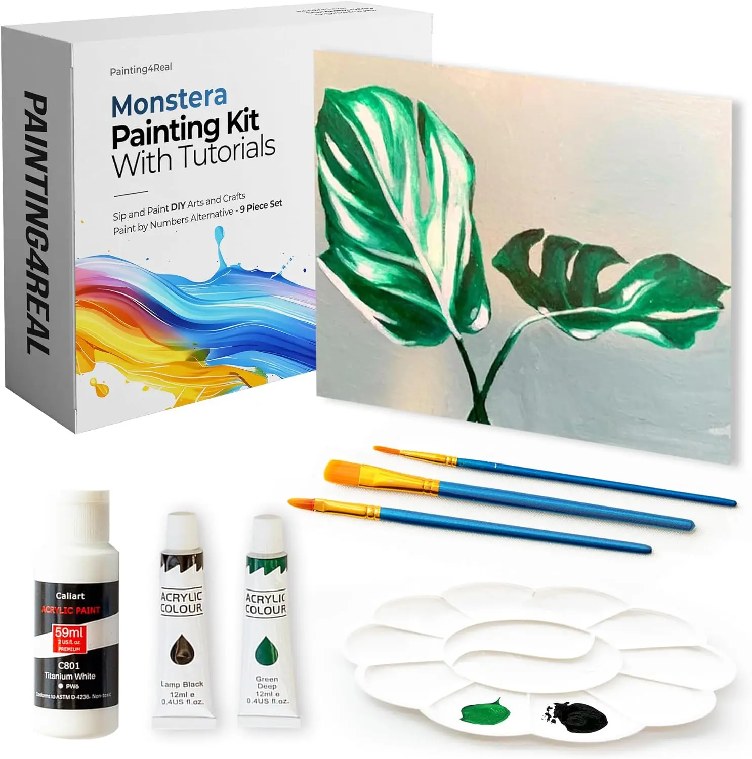 DIY Monstera Acrylic Painting Kit with Video Tutorials - 9pc Art Set for Adults and Beginners