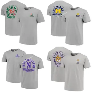 Custom University Graphic Mascot Overlay All Team 2 Side Sport Grey COLOR T-shirt, Vintage Graphic Tee, Sport Fan Gift Shirt, Men's Oversized Athletic T-shirt, College Shirt, Men's Regular Fit Graphic T-shirt, Football Shirt - MB