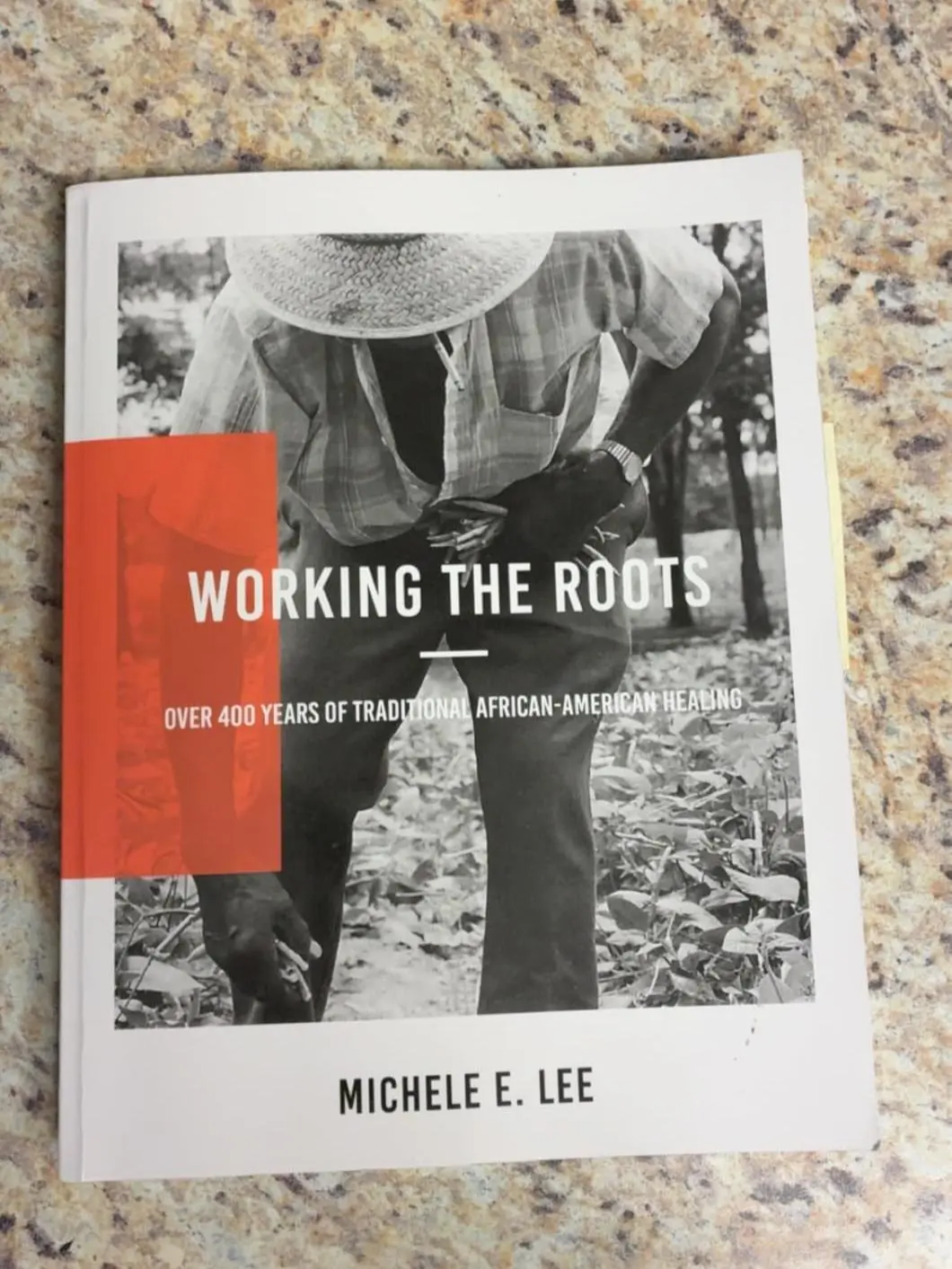 Working The Roots: Over 400 Years of Traditional African American ...
