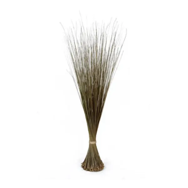 African Broom ( Igbale ) African Broom ( Igbale )