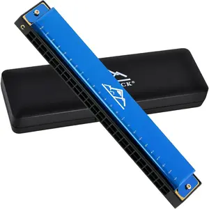 Blues Harmonica 24 Hole C Key with Case, Mouth Organ Harp, Diatonic Harmonica for Beginner